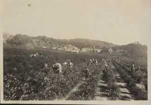 Bâtiments anciens de l’Abadie à La Bocca