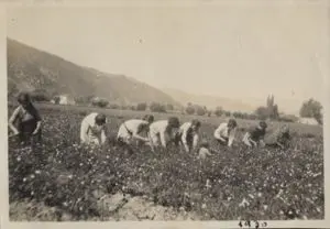 Paysage ancien de l’Abadie et de la plaine de Laval