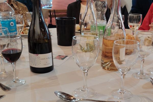 img-20260331-wa00047F1725AB-3389-C1E7-AACE-5348EE905B9F.jpg